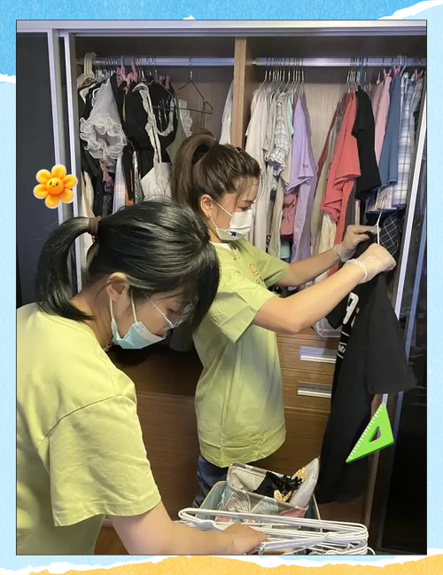 整理收纳服务市场现状与未来发展趋势分析